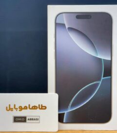 ip 16 pro max